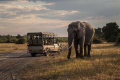 Unterwegs im Chobe National Park, Botswana