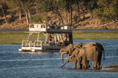 Unterwegs im Chobe National Park, Botswana