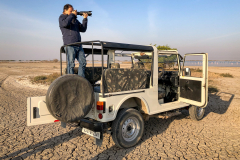 Auf der Pirsch Little Rann of Kutch, Gujarat