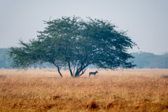 1_DSC0470