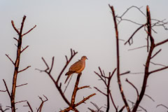 DSC0904