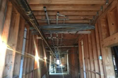 Picture16