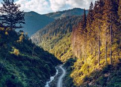 Österreichische Holzgespräche 2018 in der "Holzhauptstadt" Graz (c) iStock