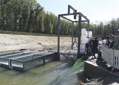 Fischwanderhilfe Greifenstein in Betrieb Donau wird immer barrierefreier | UmweltJournal (c) Kohl