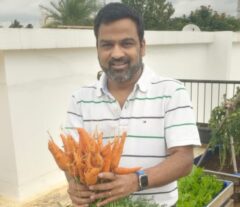 Carrots are a cool-season crop, and the best temperature for their growth is between 15°C and 20°C.