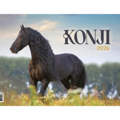 Konji
