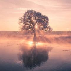 電話占いココナラ　JESSICA　Ray先生　おすすめ　当たる