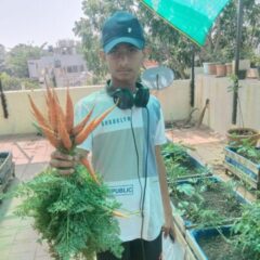 Carrots are a cool-season crop, and the best temperature for their growth is between 15°C and 20°C.