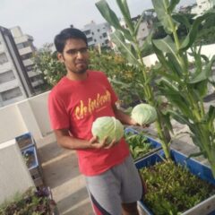 Cabbage thrives in cool, moist climates and fertile soil.