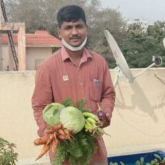 Cabbage thrives in cool, moist climates and fertile soil.