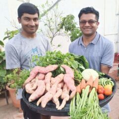 Radishes are root vegetables, typically small and round with a vibrant red skin, though they can also be black, yellow, purple, or pink.