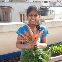 Carrots are a cool-season crop, and the best temperature for their growth is between 15°C and 20°C.