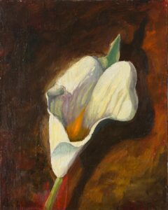 kalla lilly flower still life painting