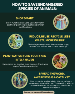 How to Protect Endangered Birds