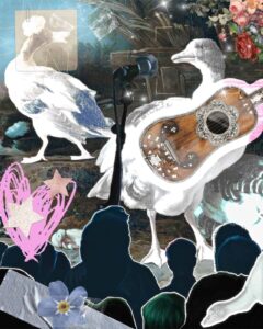 Geese and their record Psyop, in The Cold Magazine