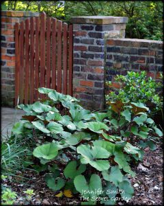 Read more about the article NOTES FROM THE GARDENS – 5 WINNING PLANTS FROM BETTMAN