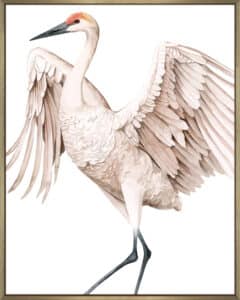 Whooping Crane II - Canvas