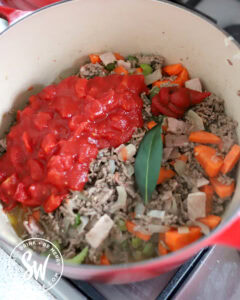 Easy Savoury Mince Recipe - Sew White