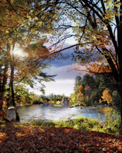 Read more about the article Prizes to Get You Moving Outside