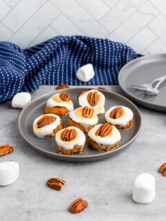 Easy sweet potato bites made with toasted marshmallows and pecans. The perfect holiday appetizer will be your favorite sweet potato recipes.