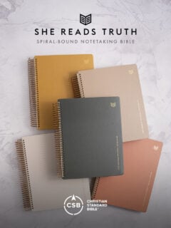 Five colorful, spiral-bound She Reads Truth Notetaking Bibles stacked on a textured gray background.