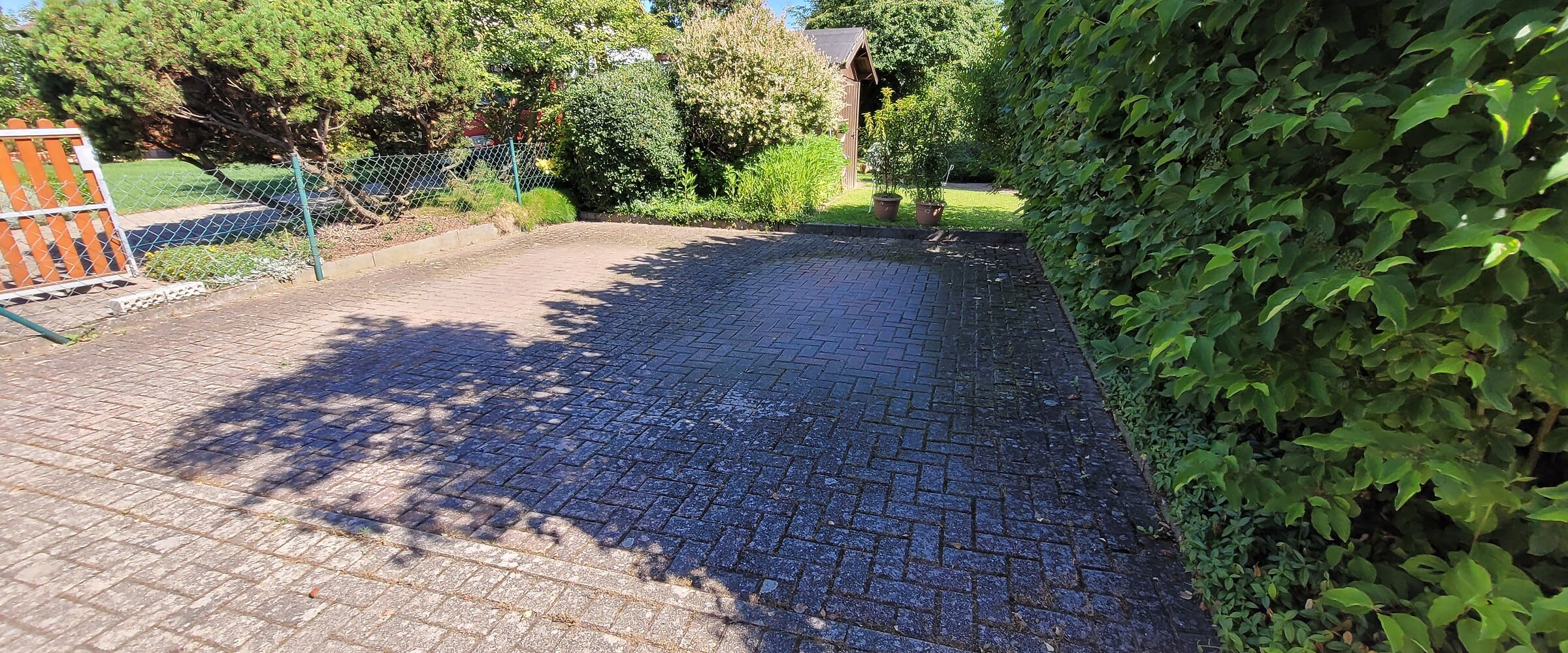 Vermooste Pflasterfläche auf einer Terrasse. Die Reinigung wird empfohlen. Homepage