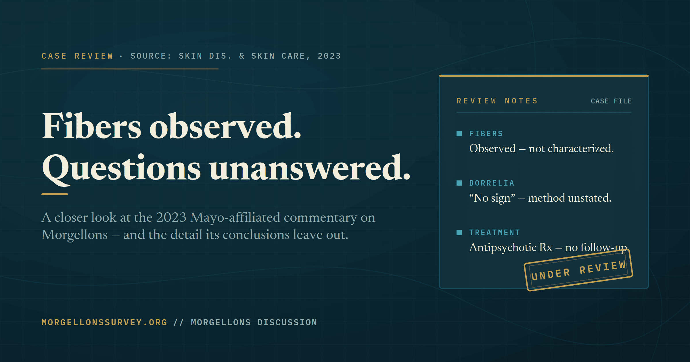 Case-file graphic reading "Fibers observed. Questions unanswered." reviewing the 2023 Mayo-affiliated Morgellons commentary — observed fibers, no stated Borrelia testing method, antipsychotic treatment, lost to follow-up.