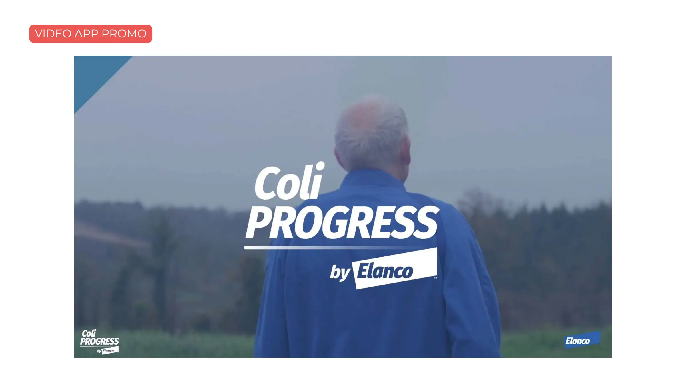 Coliprogress : film de présentation de l’application.