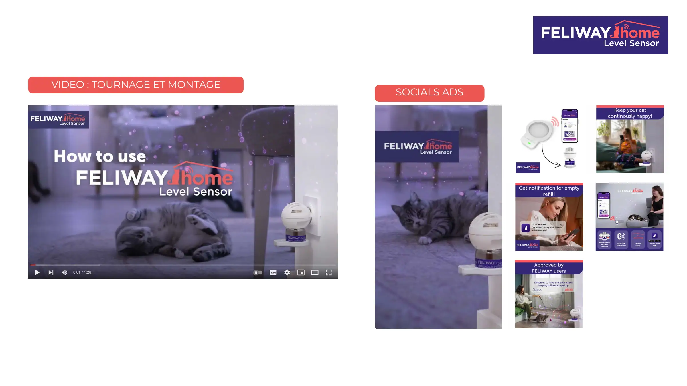 Feliway Home : film et formats social media.
