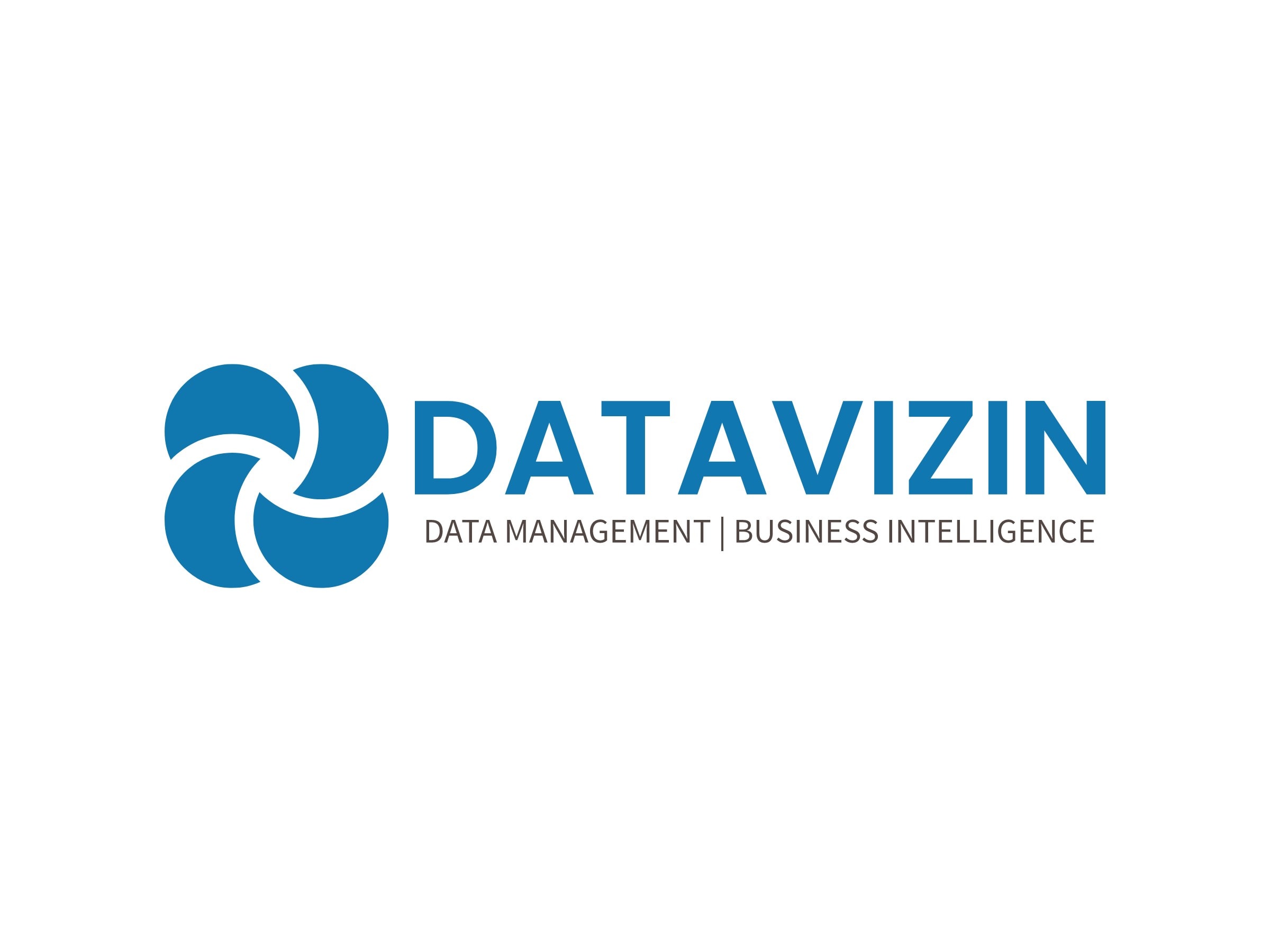 datavizin logo full size
