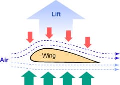 Why Does Bird Fly