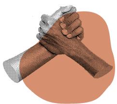 Accompagnement pour le SEO dans le Morbihan