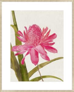 Red Ginger I - 10cm Mount Board Sm. Box Champagne 