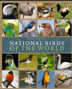 How Many Kinds of Birds are in the World