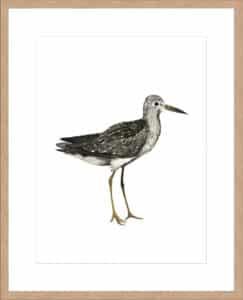 Sea Bird III - 10cm Mount Board Lg. Box Natural