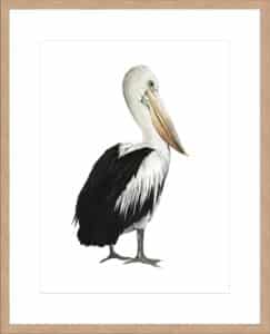 Sea Bird IV - 10cm Mount Board Lg. Box Natural