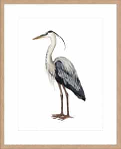 Sea Bird I - 10cm Mount Board Lg. Box Natural