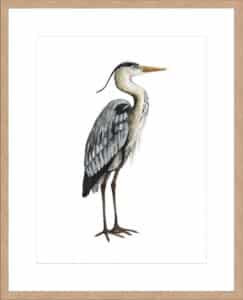 Sea Bird V - 10cm Mount Board Lg. Box Natural