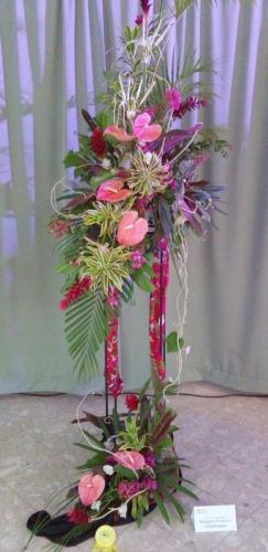 Class 21 Plantation Splendour