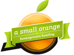 A Small Orange Logo