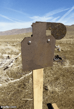 POPQUIZ IPSC Hostage Target - Image 2