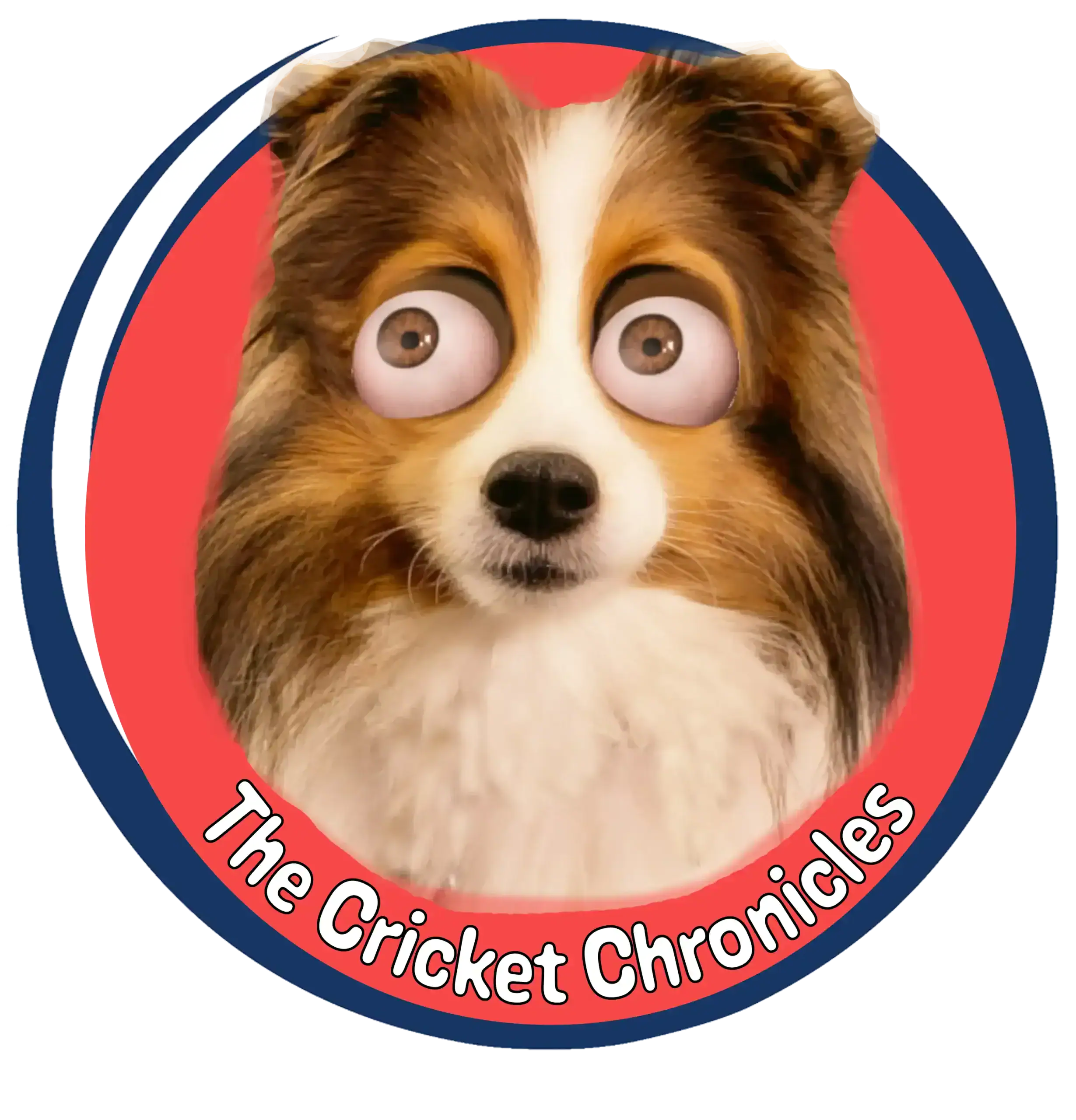 The Cricket Chronicles cartoon logo badge featuring a Shetland Sheepdog