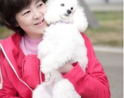 浅利まゆみ先生　秋田県　秋田市　占い師　当たる　おすすめ