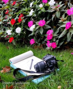 Read more about the article 2 UNEXPECTED AND INVALUABLE GARDEN TOOLS