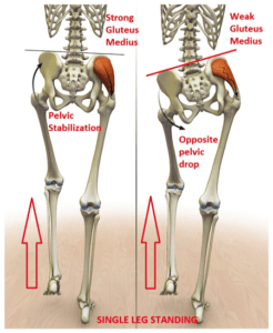 pelvis tilt