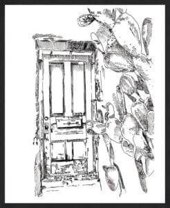 Cactus Door VI - Framed to Edge