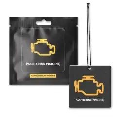 Pasitikrink Pinigine 2 Copy