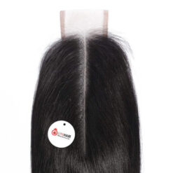 Straight Middle Part Lace Closure Vietnamese Human Hair Close Up