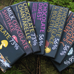 neau tropics magic mushroom chocolate bars​ , magic kingdom mushroom chocolate bars , iboga costa rica, cubensis mazatapec, mazatapec psilocybe cubensis .