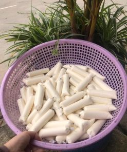 10 túi Sữa chua (Cao Anh)